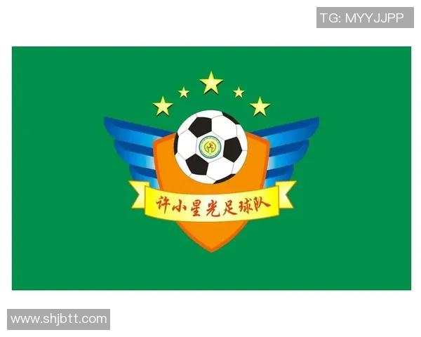 足球魅力无穷：深入解析上海足球队的战术灵活性与团队协作