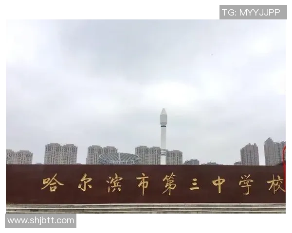 重庆排球队的崛起之路：从默默无闻到杯赛争光的成长历程