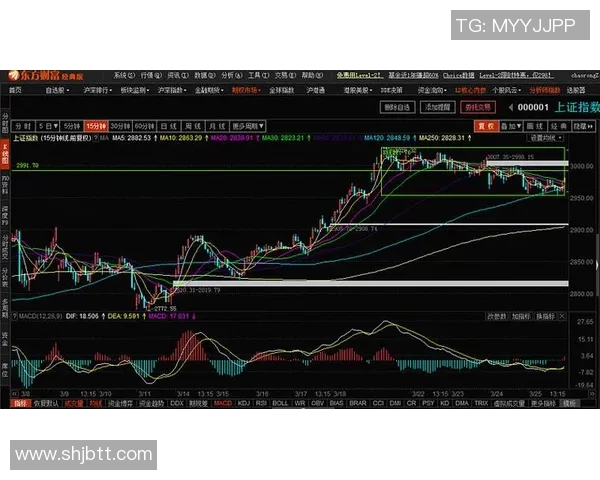 重庆排球队与深圳排球队赛后复盘分析比赛节奏与战术表现 重庆排球队与深圳排球队赛后复盘分析比赛节奏与战术表现