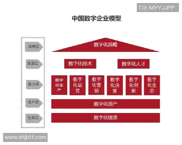 重磅专题：探索杭州篮球队在战术与管理上的全面创新与转型之路