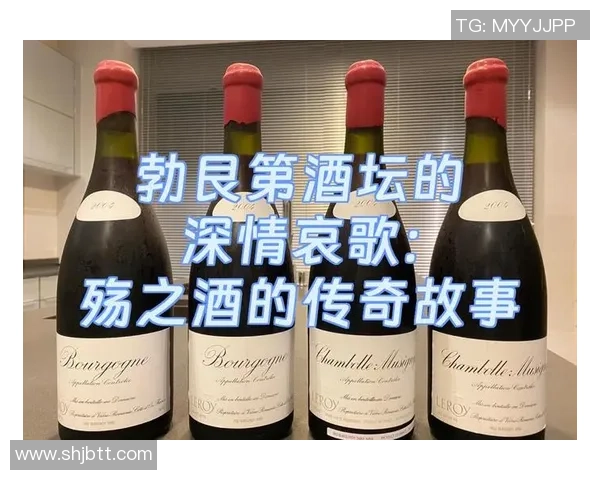 广东足球明星的璀璨星河与他们的传奇故事探秘